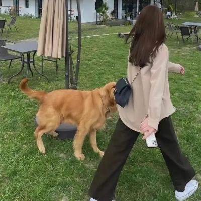 妄人妄途